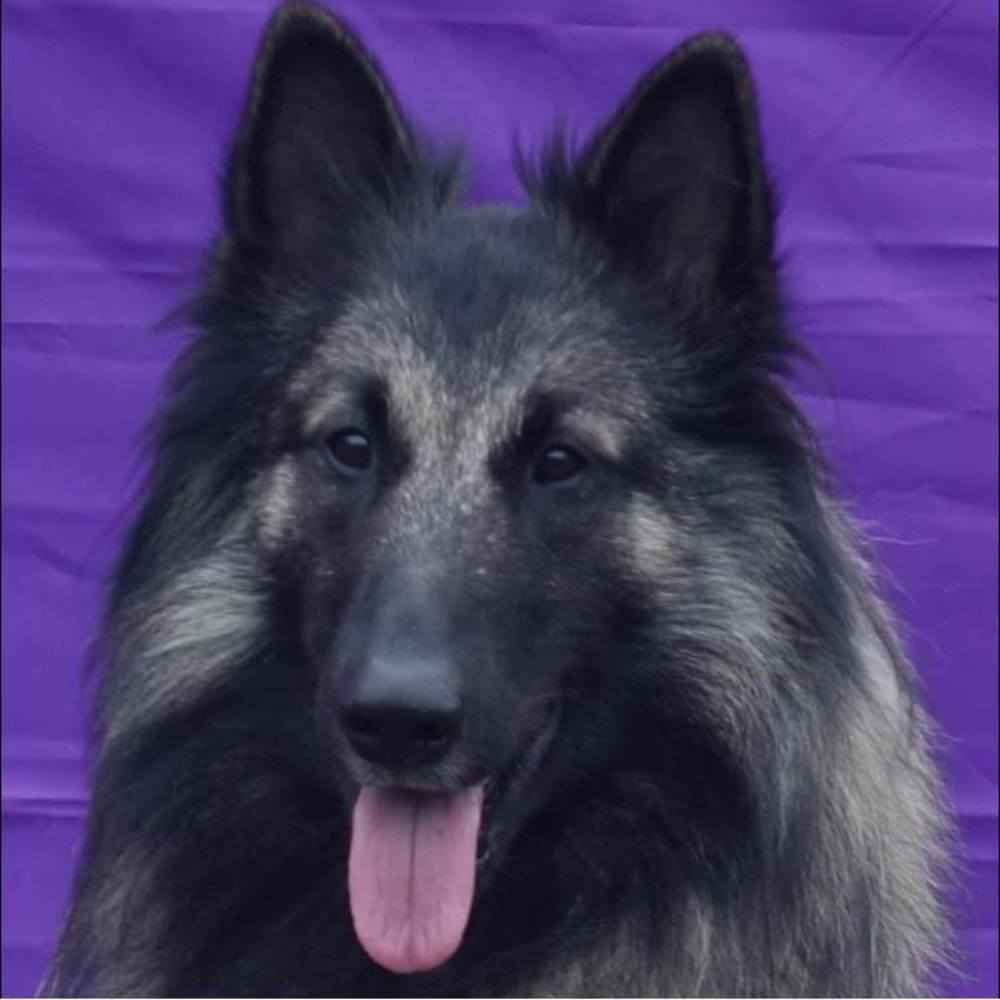 Meet your Posher, Gina